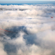 Fog